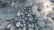 Kronika Pucharu Świata - Engelberg (17. 12. 2022)