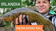304 IRLANDIA - WĘDKARSKI RAJ   LINOWE ELDORADO