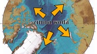 Globalne ogłupienie