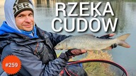 259 RZEKA CUDÓW