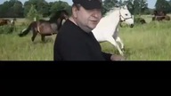Pisowska wataha..