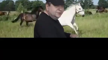 Pisowska wataha..