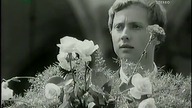 Marek Grechuta - Serce