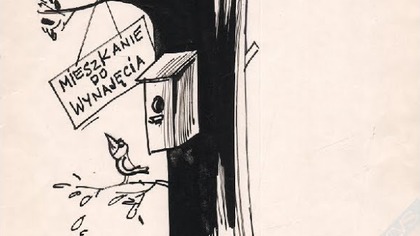 Juliusz Puchalski Mieszkanie do wynajęcia