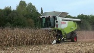 NEW CLAAS LEXION 770 Terra Trac Corn Harvest
