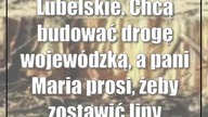 Lubelskie.  Chcą budować drogę wojewódzką, a pani Maria prosi, żeby zostawić lipy