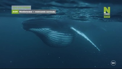 POLSATVIASATNATURE - 03-04-2026 - Reklamy, Zapowiedzi, Ident
