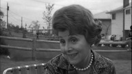 Lombardzista, The Pawnbroker (1964)