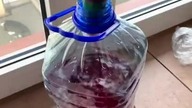 wino wino wino musi być