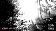 Natreya - Unseen Letters Unread Growth (Official Video | Good Rock)