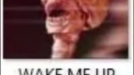 skeleton meme