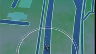 SHINY SENTRET & SHINY GLIGAR HUNT