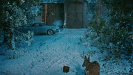 Wszystko,na. co. niebo. zezwala. 1955. Lektor.pl