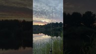 Najciekawsze momenty na żywo