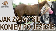 Jak zająć się koniem po jeździe