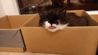 No more cuteness...  
