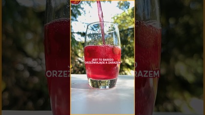 Rabarbarowa herbata na zimno  Najlepsze cold brew na lato