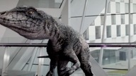 Primeval. S05E03.pl. DVDRip. XViD