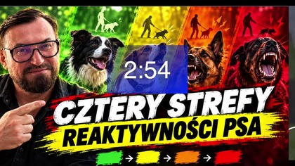 Pies rzuca się na smyczy? Cztery strefy reaktywności psa - webinar na żywo