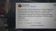 ZŁOTE ALGI załatwiły Odrę...