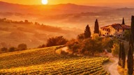  Tra le Vigne di Toscana