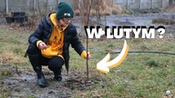 Co trzeba zrobić w lutym w ogrodzie? Weekend na działce, prace w moim ogrodzie