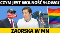 Braun ocenzurowany? Na czym polega wolność słowa? PE domaga się homomałżeństw | A.  Zaorska