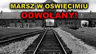 PILNE! Odwołano Marsz Pamięci w Oświęcimiu! Kogo boli prawda o holokauście Polaków? | M.  Piotrowski