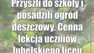Przyszli do szkoły i posadzili ogród deszczowy.  Cenna lekcja uczniów lubelskiego liceum