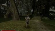 Zagrajmy w Gothic #05 Gniazdo Pełzaczy