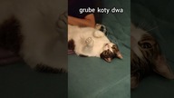 Grube koty dwa