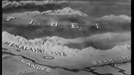 Śnieżny stw&oacute;r 1954 dub.aut.pl