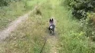 W poszukiwaniu, spokoju.