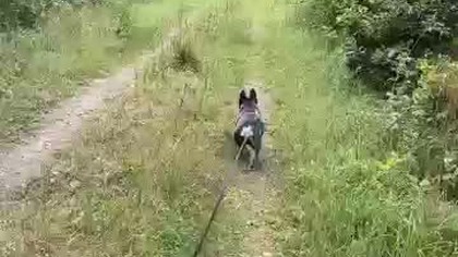 W poszukiwaniu, spokoju.