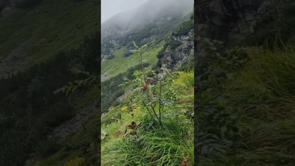  Dalej niż horyzont