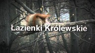 Pożegnanie z Warszawą - dzień 3