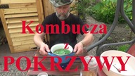 Kombucza z pokrzywy i innych roślin.  Wzmocnij florę jelit.