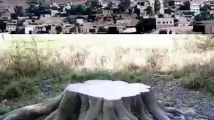 ufaj nikomu wszyscy kłamią nawet matka ojciec brat milloor konczakowski hasło dopiero reszta