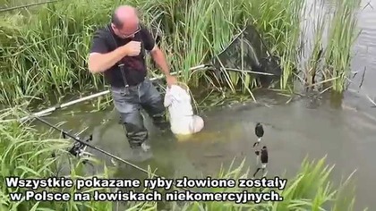 Moje wędkarstwo 10 lat temu w klipach (2013 - 2015) I Wędkarstwo