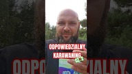 Druga część poprzedniej rolki.  Zamykamy temat kulturalnego pozostawienia po sobie miejsca po ognisku