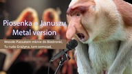 Piosenka o Januszku - Metal Version ( IA COVER)