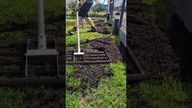 Jak naprawić i wyrównać trawnik po zimie?
