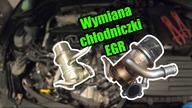 Wymiana chłodniczki EGR 1. 6/2. 0 TDI CR VAG | Zrób to sam | #ShotFix