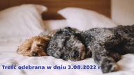 Miłość do zwierząt jest najdoskonalszym symptomem Światła w człowieku