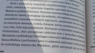 Lato Ognia i Krwi, albo bunty chłopskie w Niemczech! Wzburzony Sarmata czyta Prześwity i oburza się!