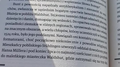 Lato Ognia i Krwi, albo bunty chłopskie w Niemczech! Wzburzony Sarmata czyta Prześwity i oburza się!