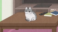 [Fusoku Subs] Yoru wa Neko to Issho 46