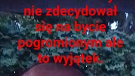 Panie Krzysztofie a pana pytali?