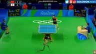 Człowiek vs A. I.