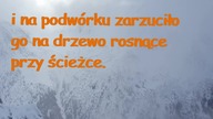 Dowcip dnia! #016# #dowcipdnia #dowcip #kawały